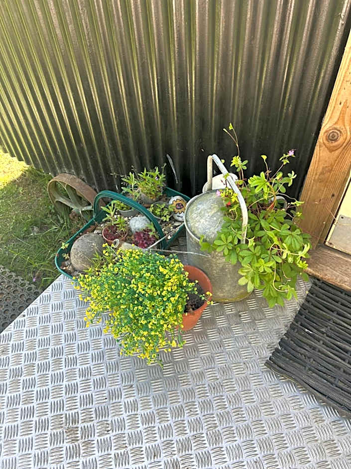 Mr Hares shepherd hut