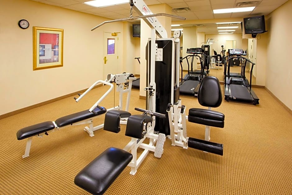 Holiday Inn Chantilly-Dulles Expo Airport, an IHG Hotel