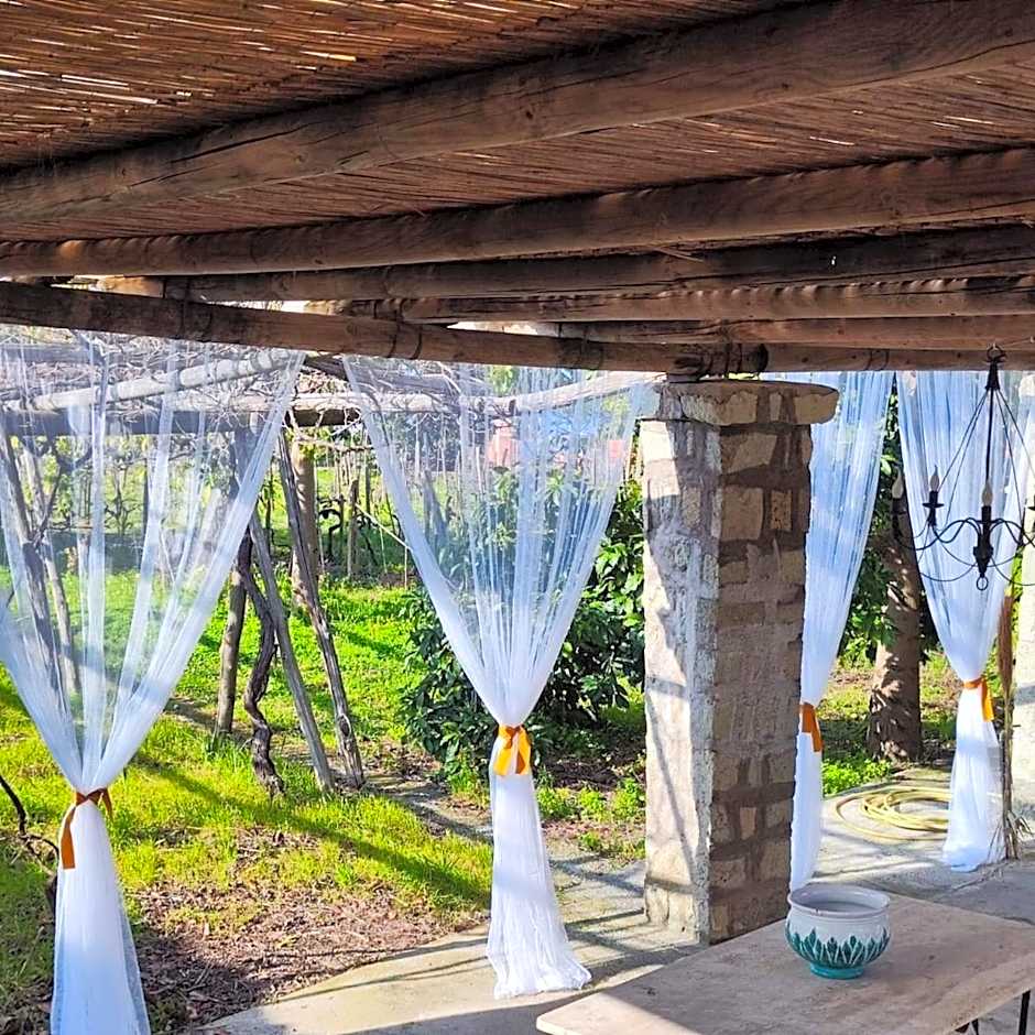 Il Vitigno di Dioniso