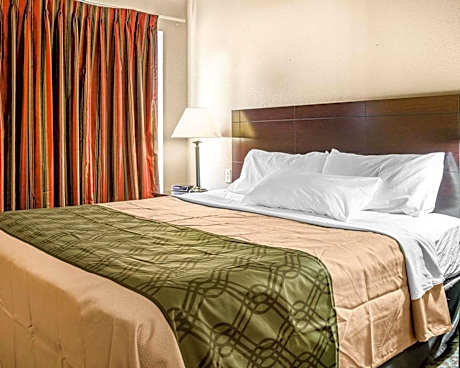 1 King Bed, Suite, Nonsmoking