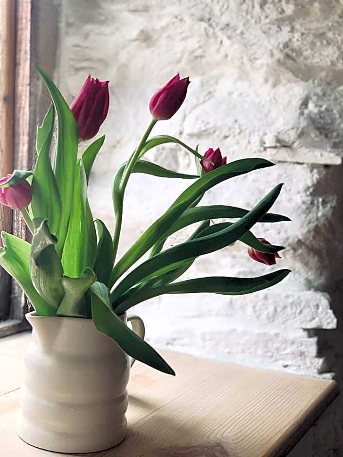 Wester Auchraw Croft B&B