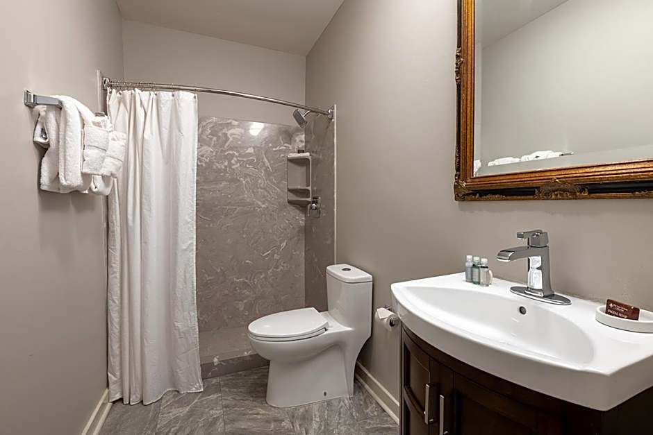 French Quarter Suites Hotel