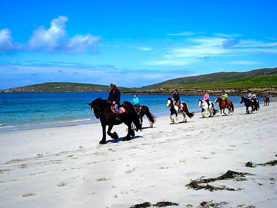 Palmgrove Bed & Breakfast