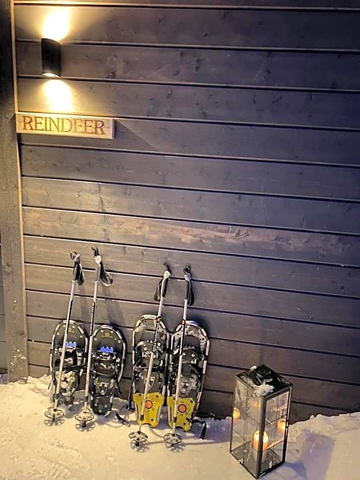 Skyfire Village Igloos