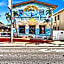 Hollywood Beach Seagull