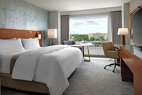 Deluxe King Room, Guest room, 1 King