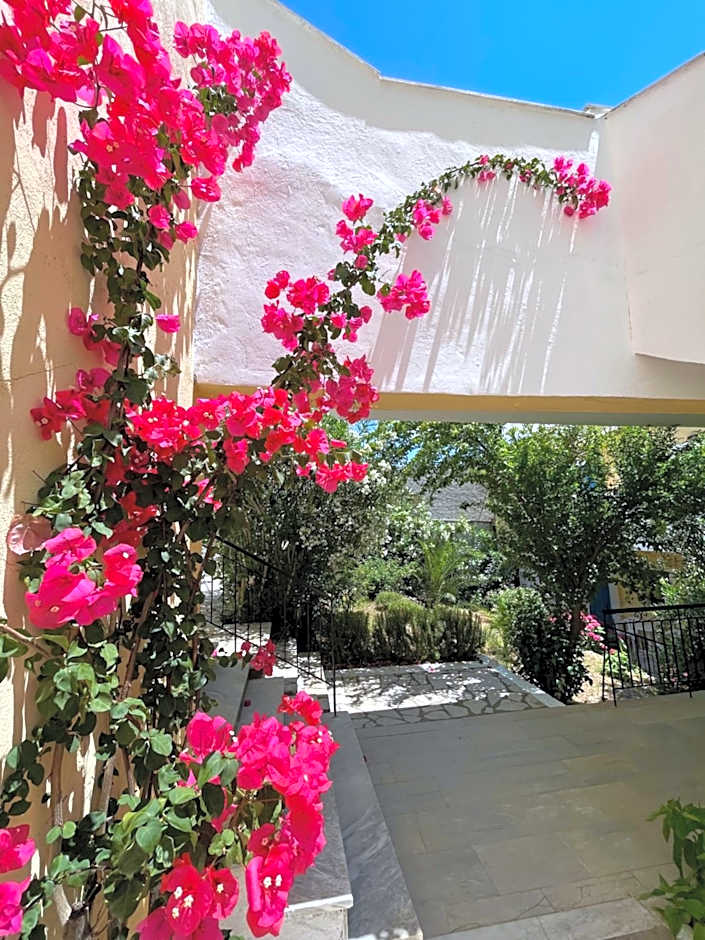 Sunflower Apartments & Studios