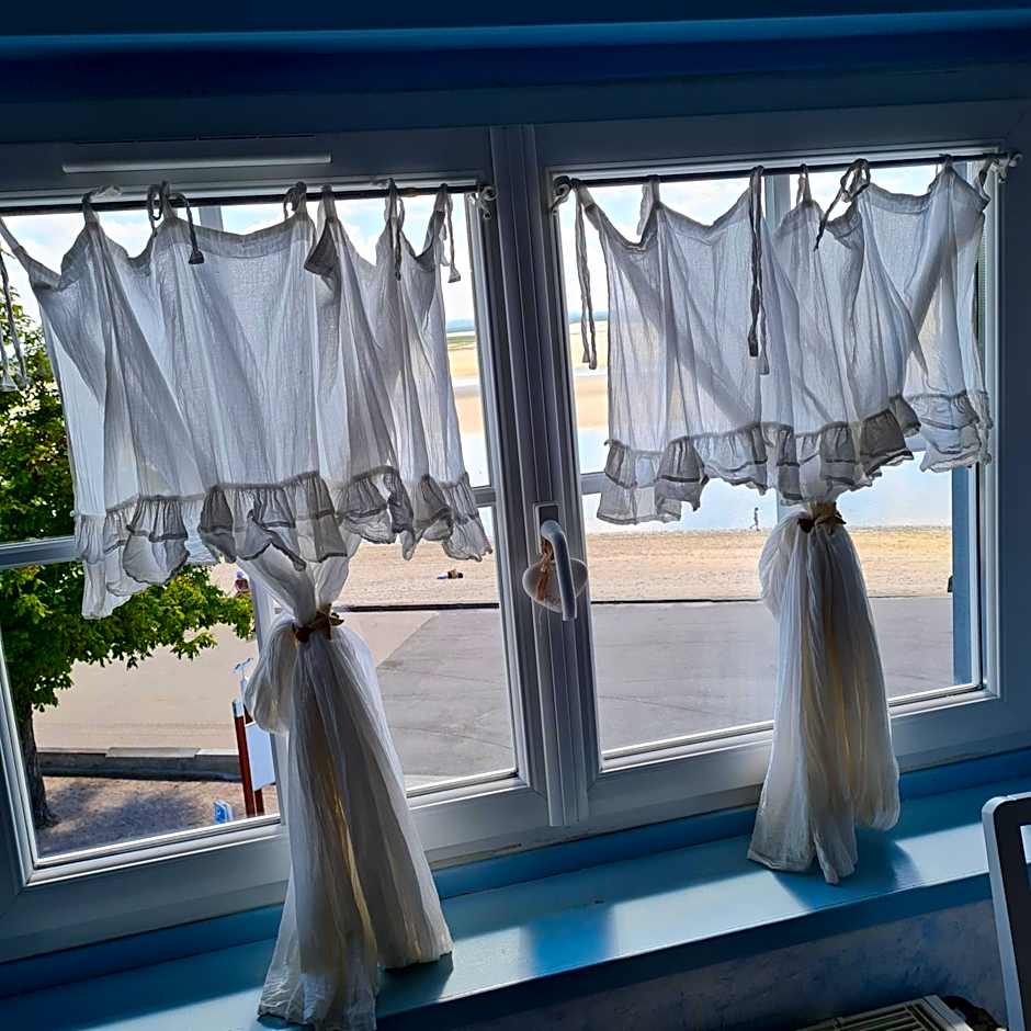 Les Mouettes Blessées