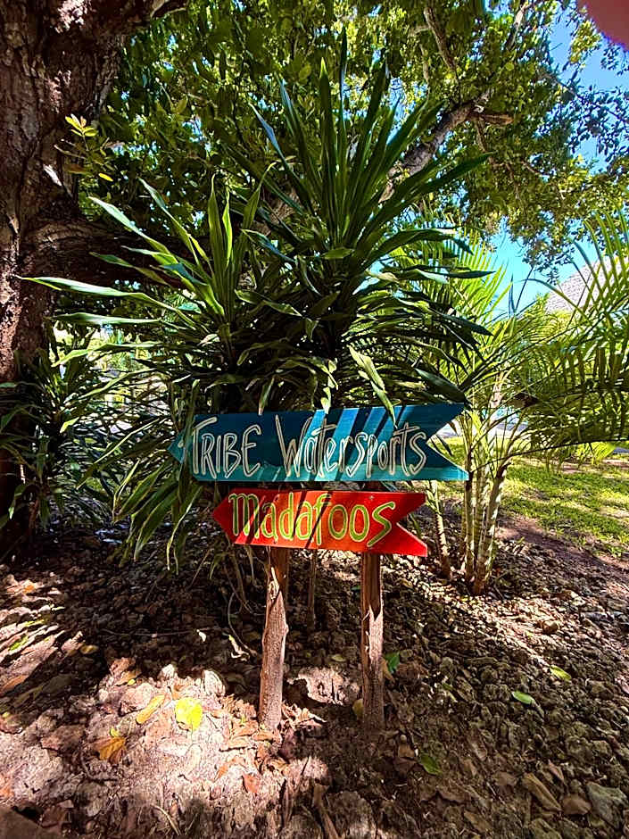 Galu Ecolodge - Diani Beach