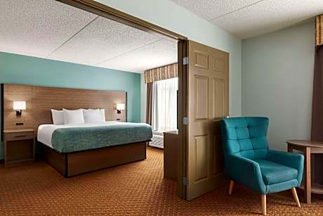 One-Bedroom King Suite - Non-Smoking