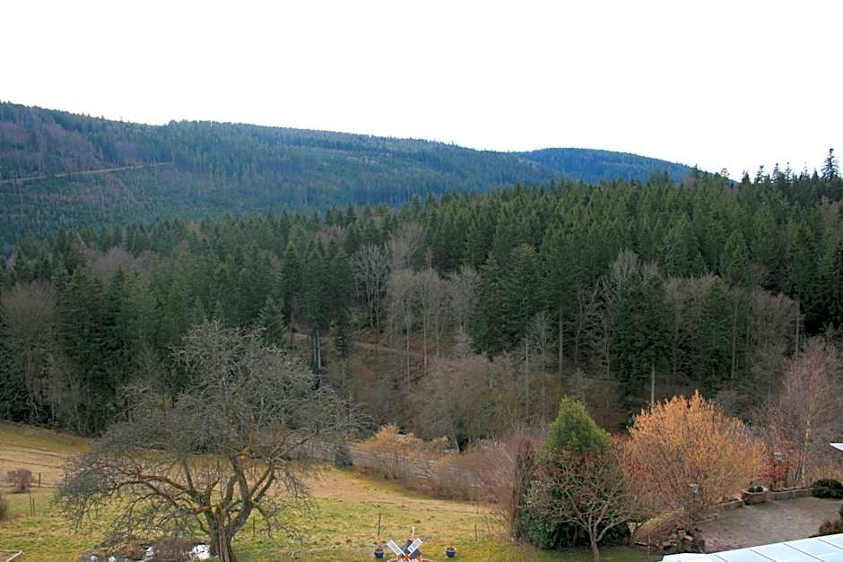 Schwarzwald-Gasthof Hirsch