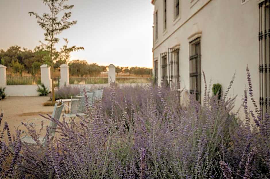 La Dehesa de Don Pedro