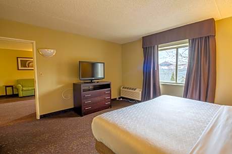 1 King Bed Suite Comm Accessible