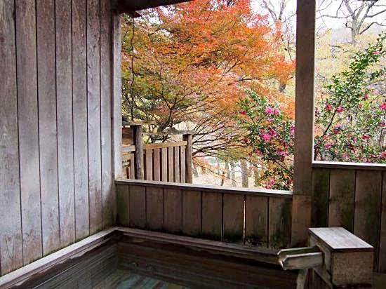 Yokotei