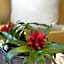 Hermanus Guest House
