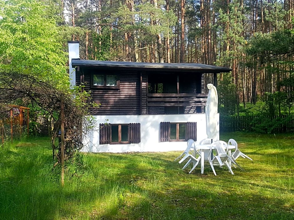 BORY TUCHOLSKIE SKÓRZENNO KO¿O OSIEKA