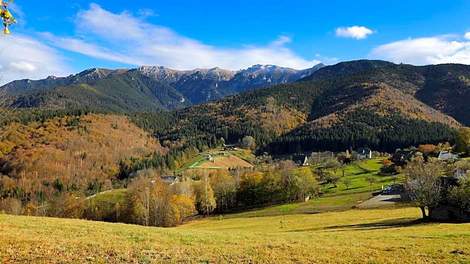 Pensiunea Montan din Bran,sat Simon SPA indoor