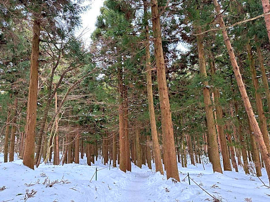 Slow Citi Guest House