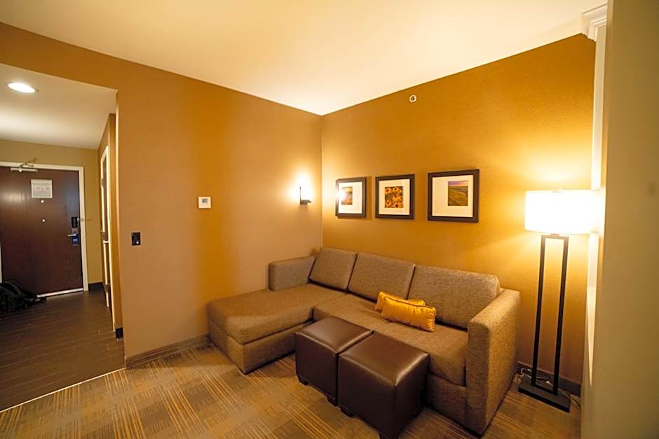 Comfort Suites University