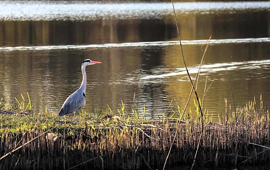 Barack Thermal Hotel and Spa