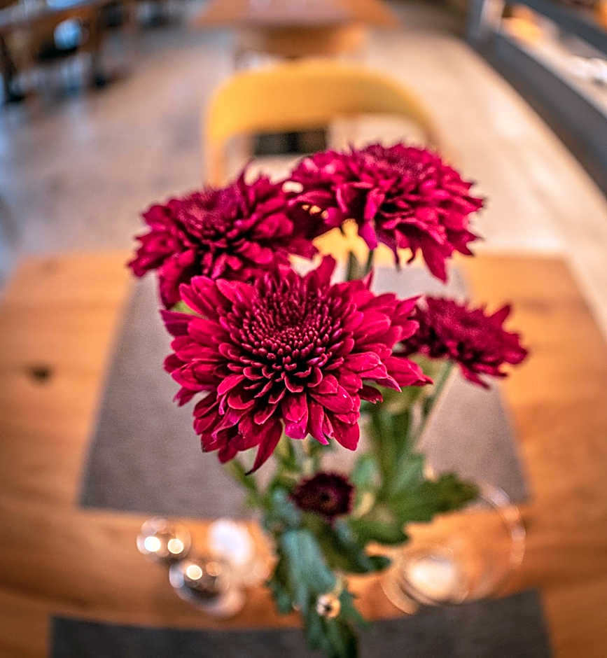 Hotel Novy Kastiel - Self check-in