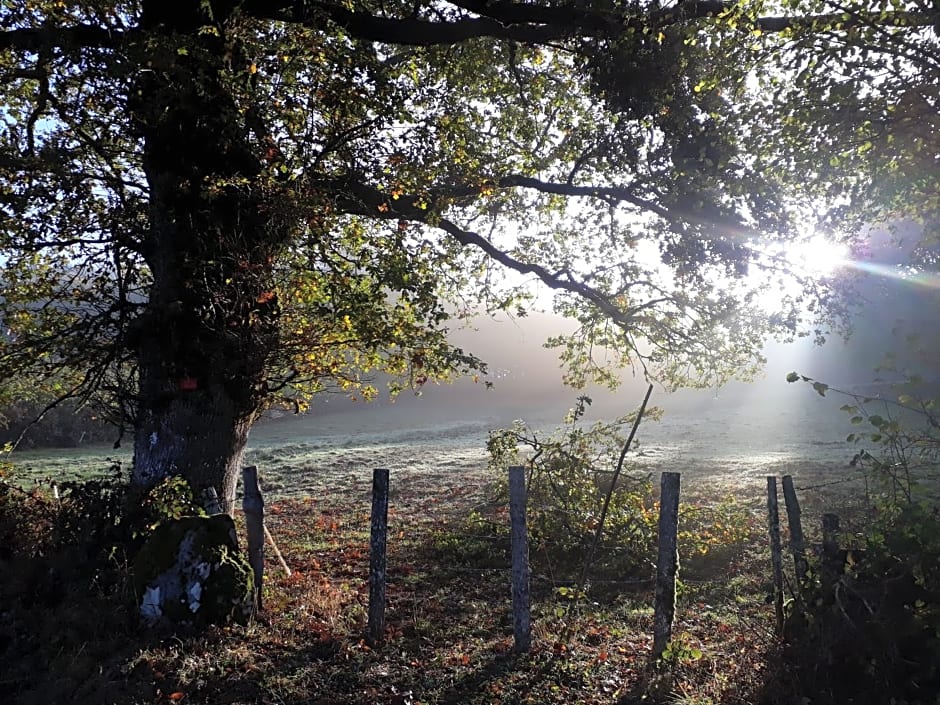 Les Vergers de Cussy