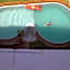 Riad Salt River