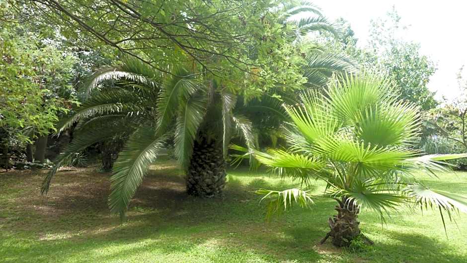 Les jardins du Patriarche Hôtel