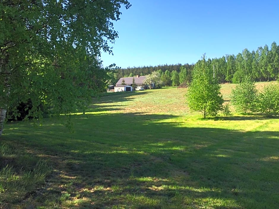 Samodzielny Dom Przy Lesie