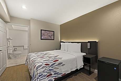 Standard Queen Room Disability Access Roll-In Shower Non-Smoking