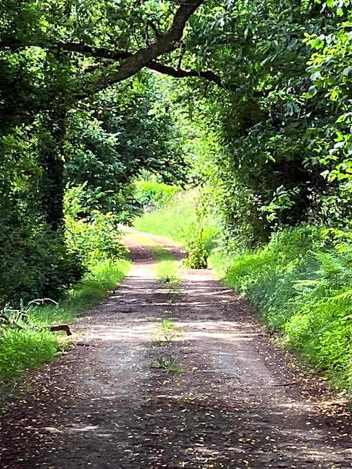 Propriété de campagne au calme