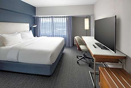 King Suite with Sofa Bed