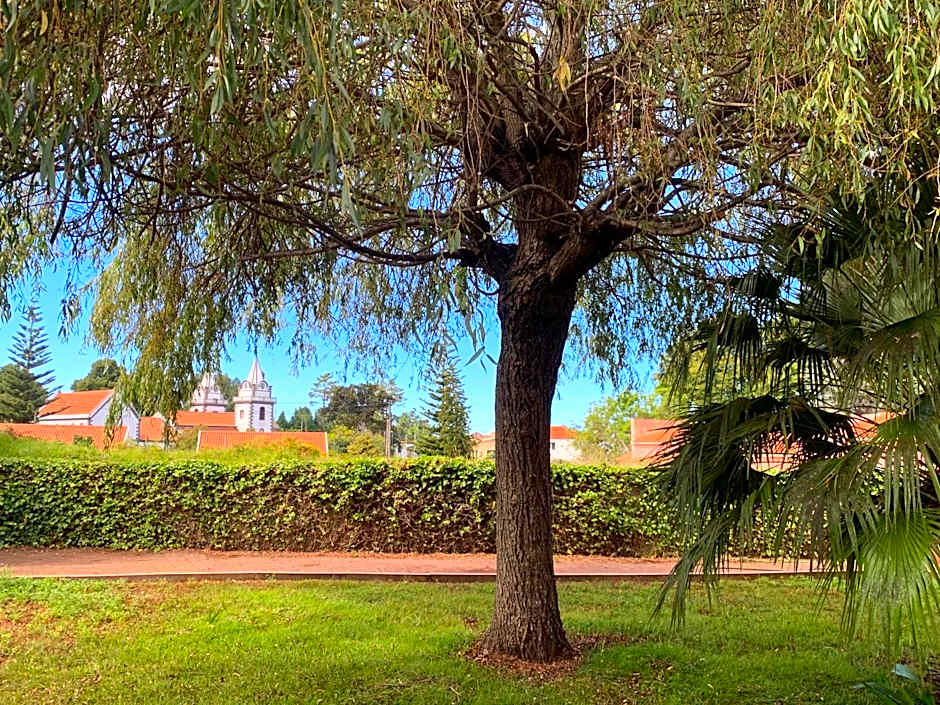 Casa De Cha Prazeres