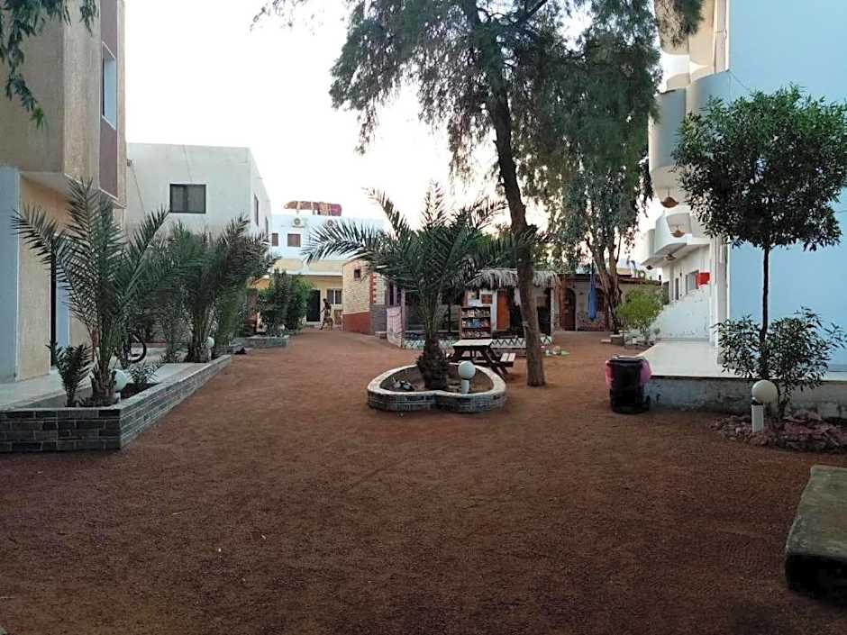 Oasis Fighting Kangaroo