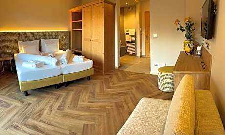 Superior Double or Twin Room with Mountain View