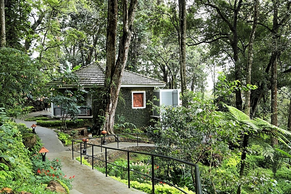 The Tall Trees Munnar