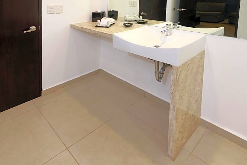 Wyndham Garden Guadalajara Acueducto