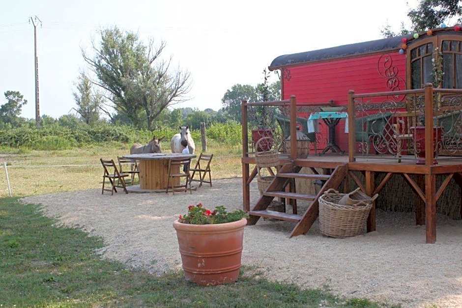 La roulotte "Les Saintes"