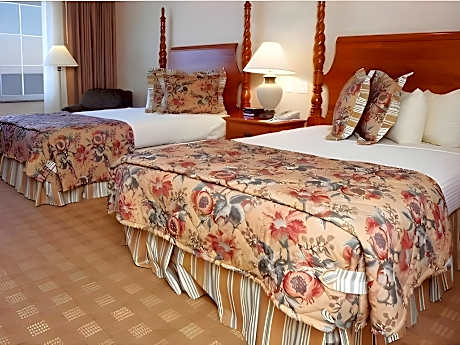 Double Room 2 Double Beds with View