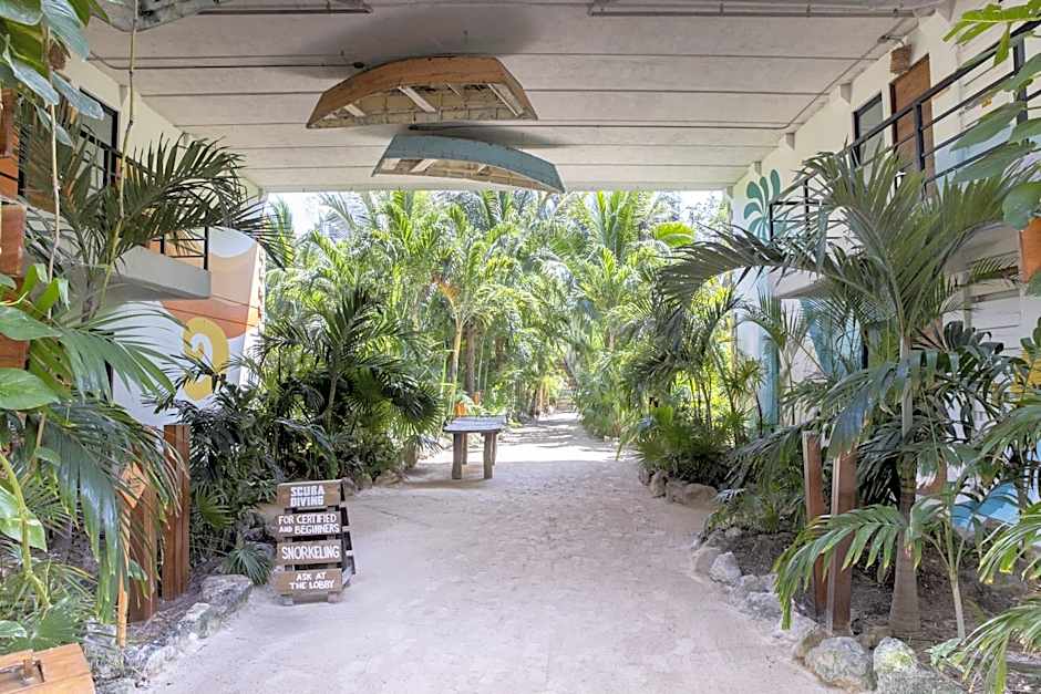 Mayan Monkey Isla Mujeres - Social Hotel