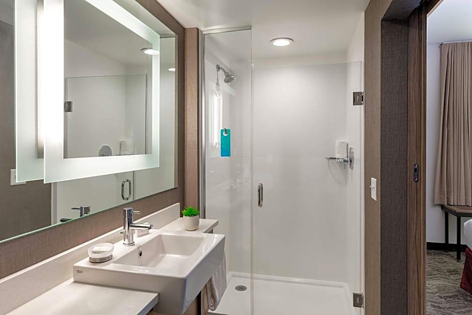 SpringHill Suites by Marriott Chattanooga South/Ringgold