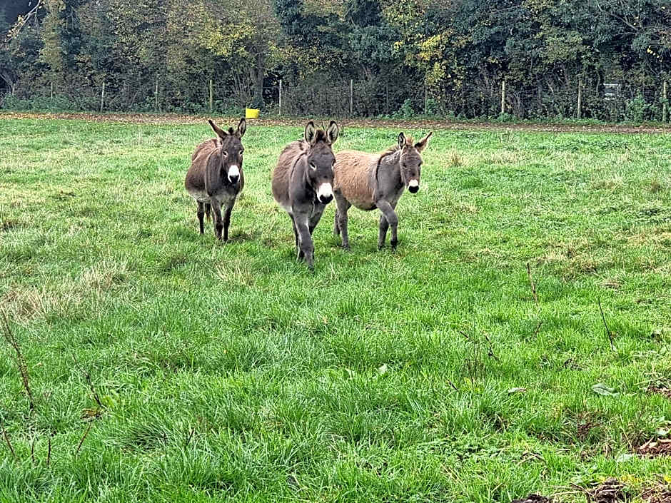 Home Farm Park - Static Caravans