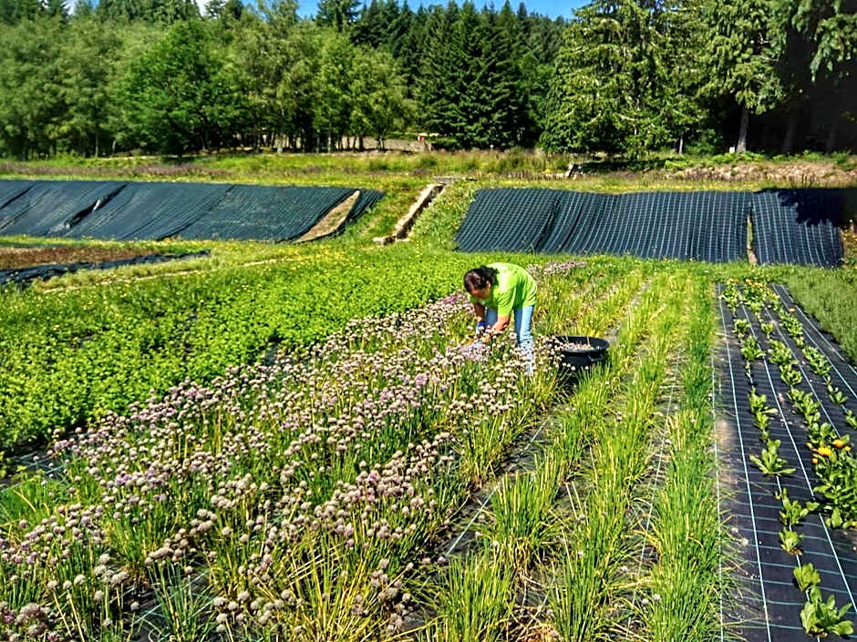 Boticas Parque Natur Houses