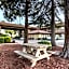 Best Western Orchard Inn