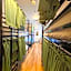 Global Backpackers Youth Hostel