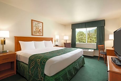1 King Bed Mobility Accessible Room Non-Smoking