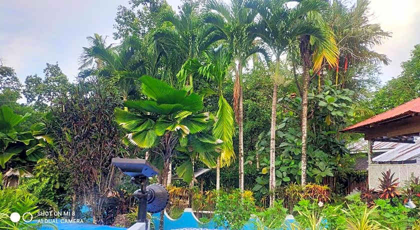 Sun House Rental