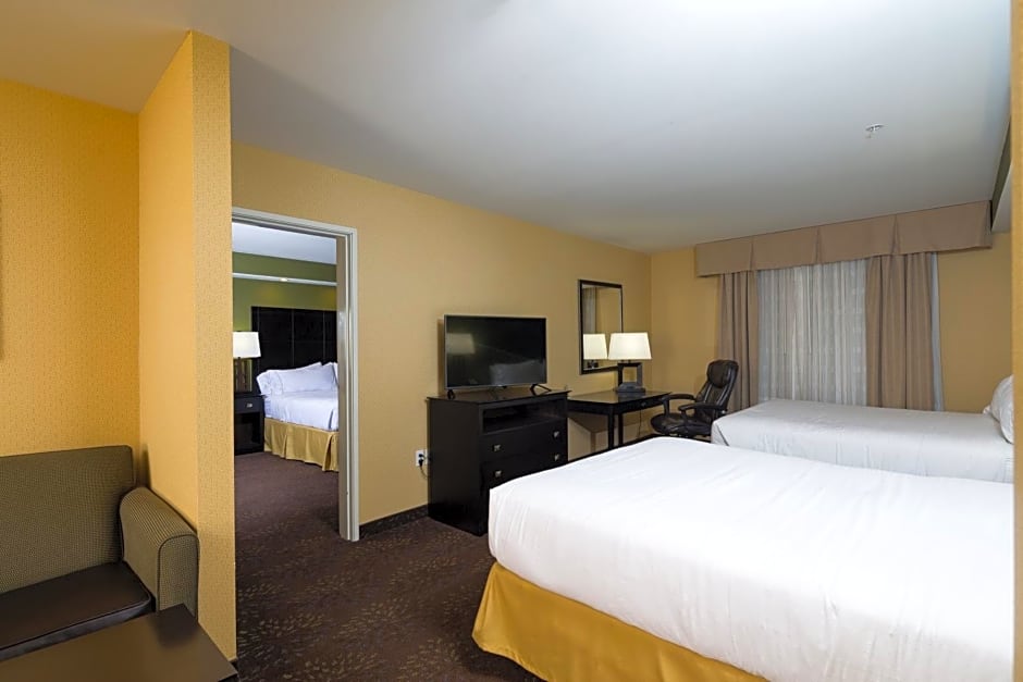 Holiday Inn Express And Suites Detroit North-Troy