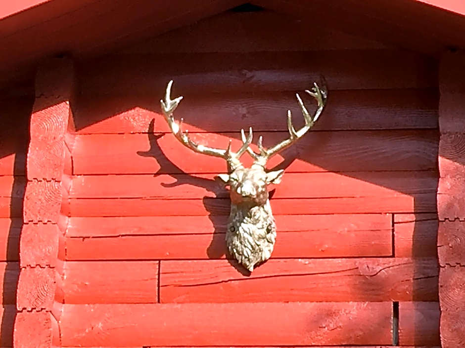 Pucks Glen Lodges - Cosy Lodges in a Woodland Setting