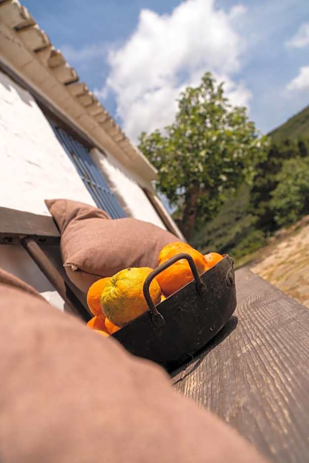 Finca Santa Teresa, Casa Granada